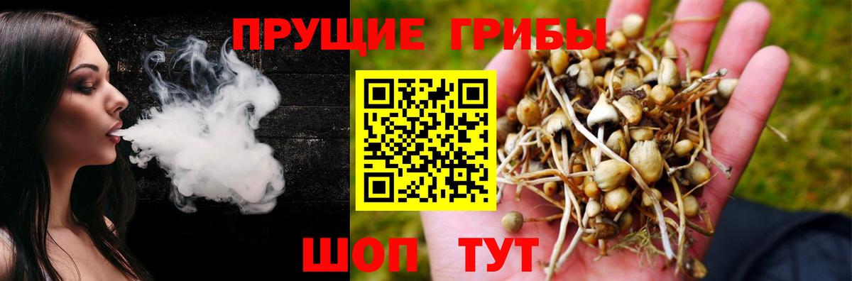 Галлюциногенные грибы прущие грибы Верхняя Пышма