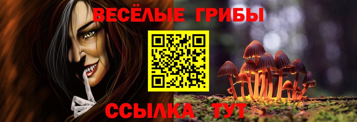 купить наркотики сайты  Галлюциногенные грибы MAGIC MUSHROOMS  Вход с VPN  Галлюциногенные грибы мицелий  Верхняя Пышма 